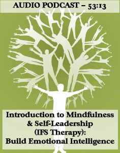 Washington DC counseling mindfulness 